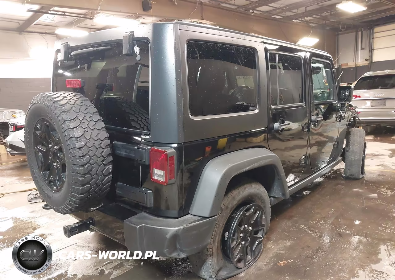2016 Jeep Wrangler Unlimited Willys Wheeler VIN:1C4BJWDG4GL188157 - 4