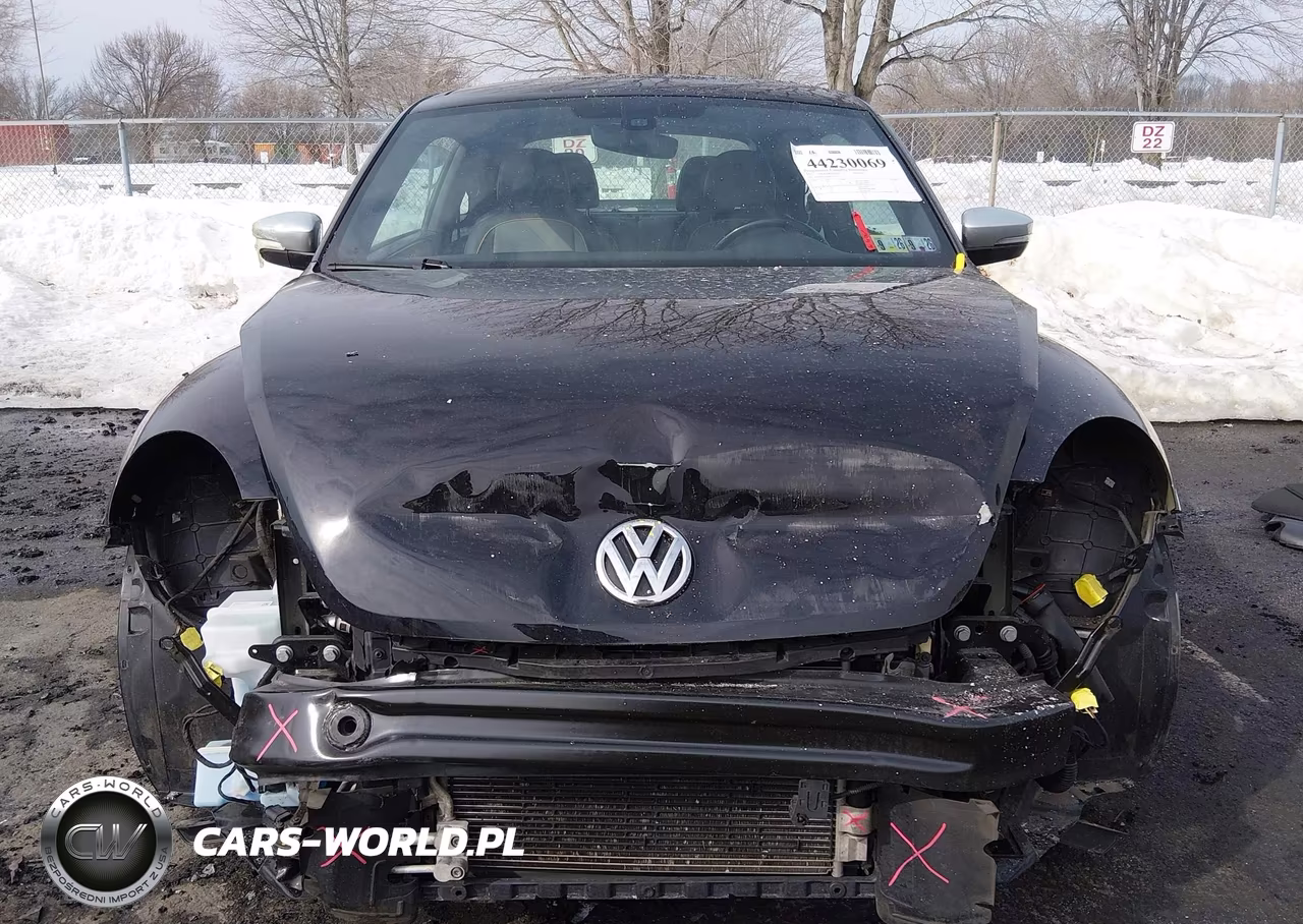 2018 Volkswagen Beetle 2.0T Dune VIN:3VWSD7AT0JM711577 - 12