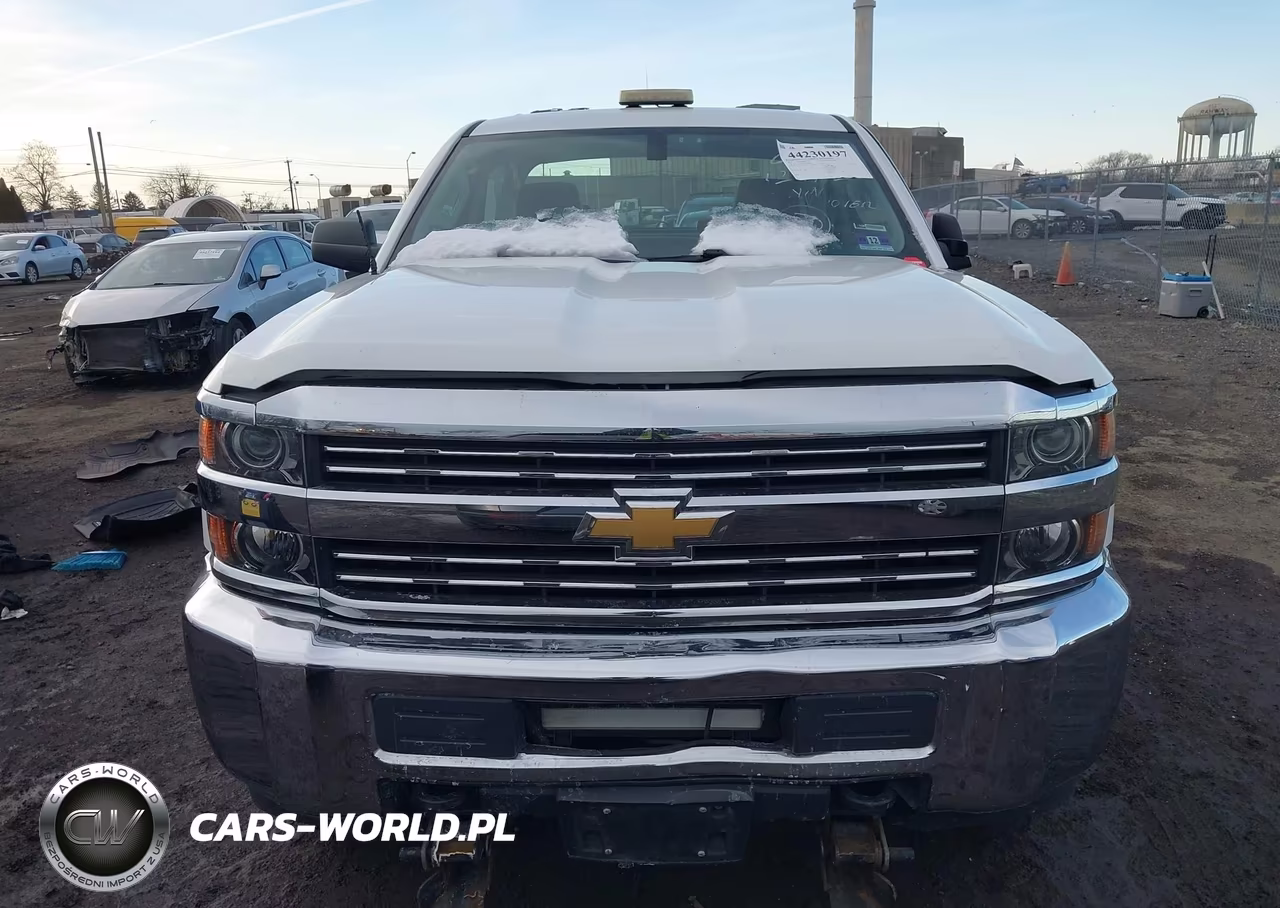 2017 Chevrolet Silverado 2500Hd Wt VIN:1GC2KUEGXHZ368001 - 12