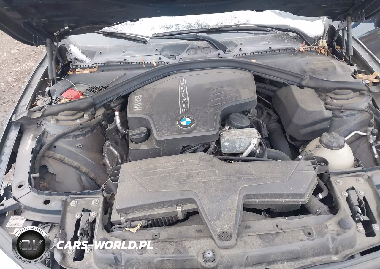 2014 BMW 428I xDrive VIN:WBA3N9C56EF722181 - 10