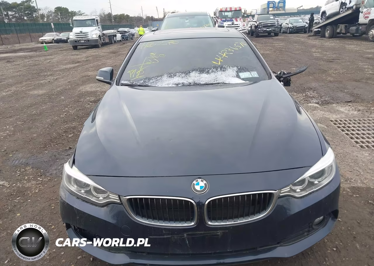 2014 BMW 428I xDrive VIN:WBA3N9C56EF722181 - 11