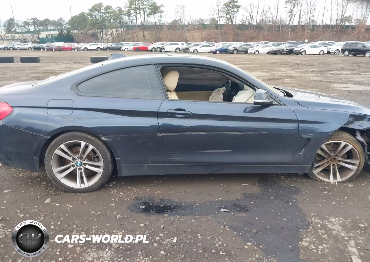 2014 BMW 428I xDrive VIN:WBA3N9C56EF722181 - 12