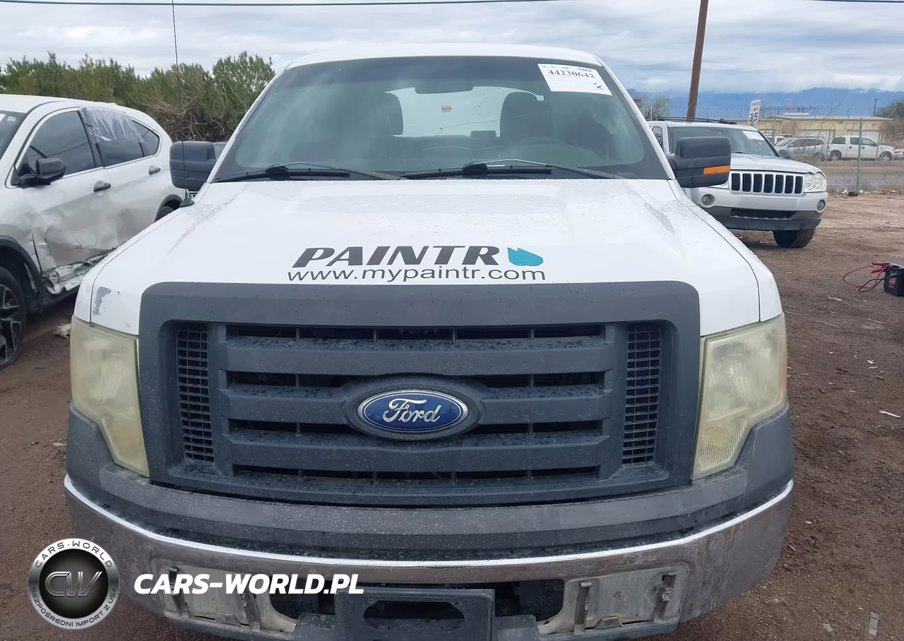 2010 Ford F-150 Xl VIN:1FTEW1CW9AKE10716 - 12