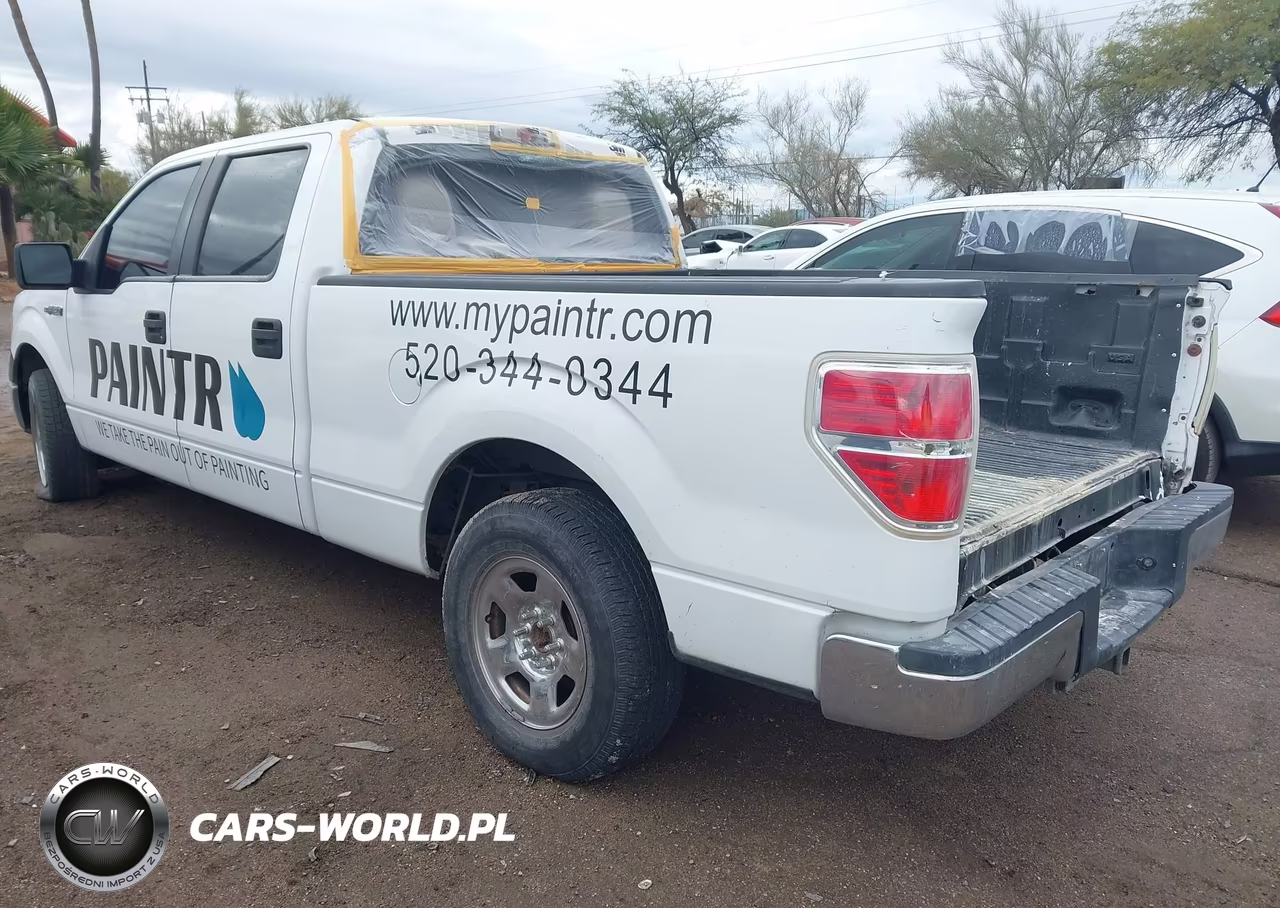 2010 Ford F-150 Xl VIN:1FTEW1CW9AKE10716 - 3