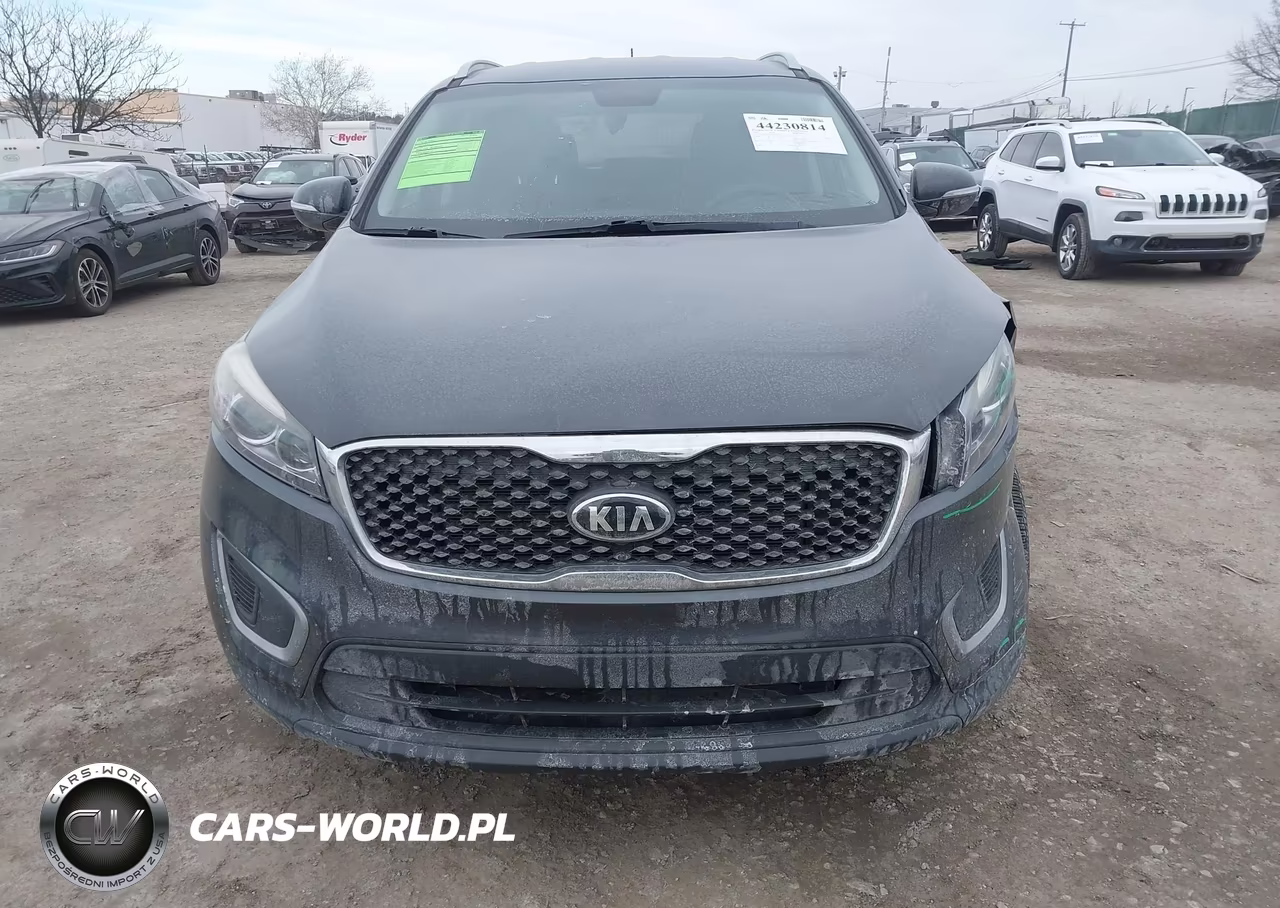 2016 Kia Sorento 2.4L Lx VIN:5XYPGDA32GG163764 - 11