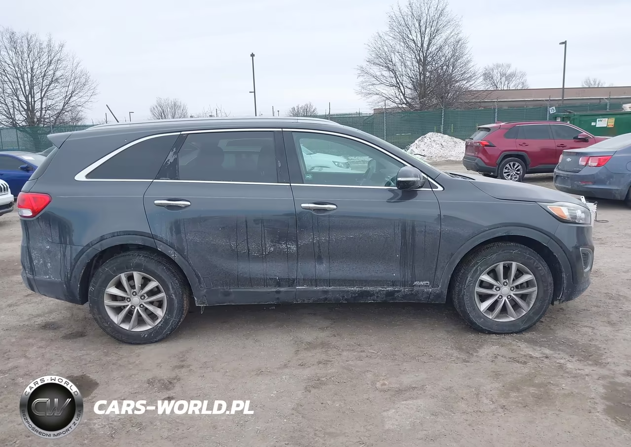 2016 Kia Sorento 2.4L Lx VIN:5XYPGDA32GG163764 - 12