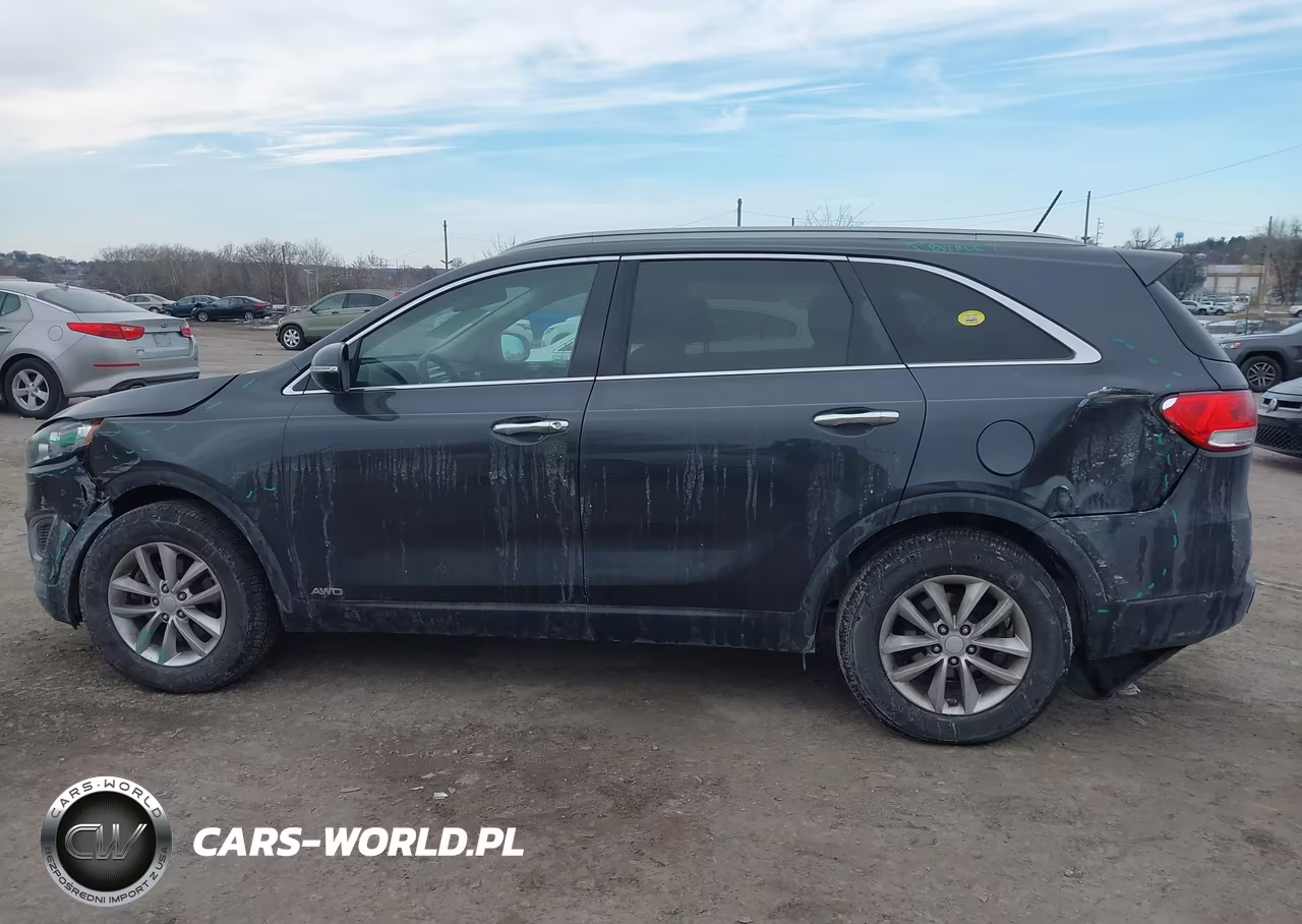 2016 Kia Sorento 2.4L Lx VIN:5XYPGDA32GG163764 - 13