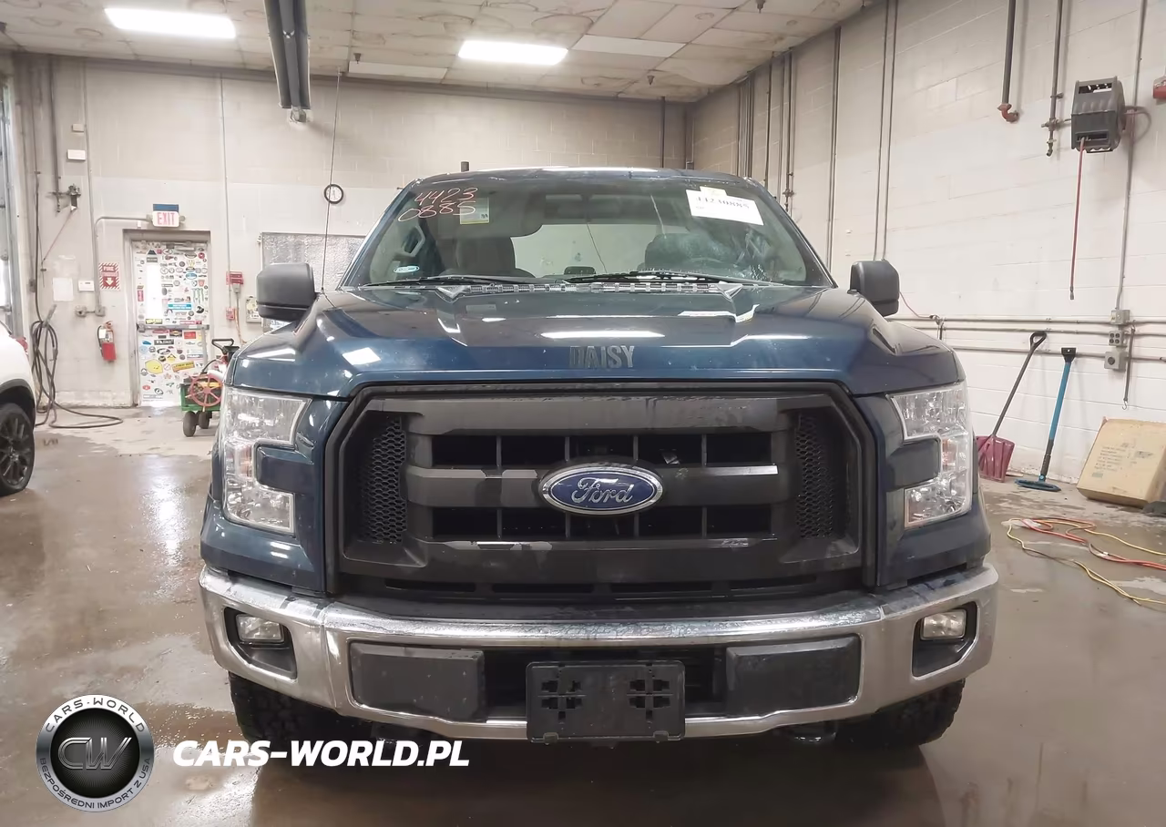 2015 Ford F-150 Xl VIN:1FTEX1EP1FKE55675 - 12