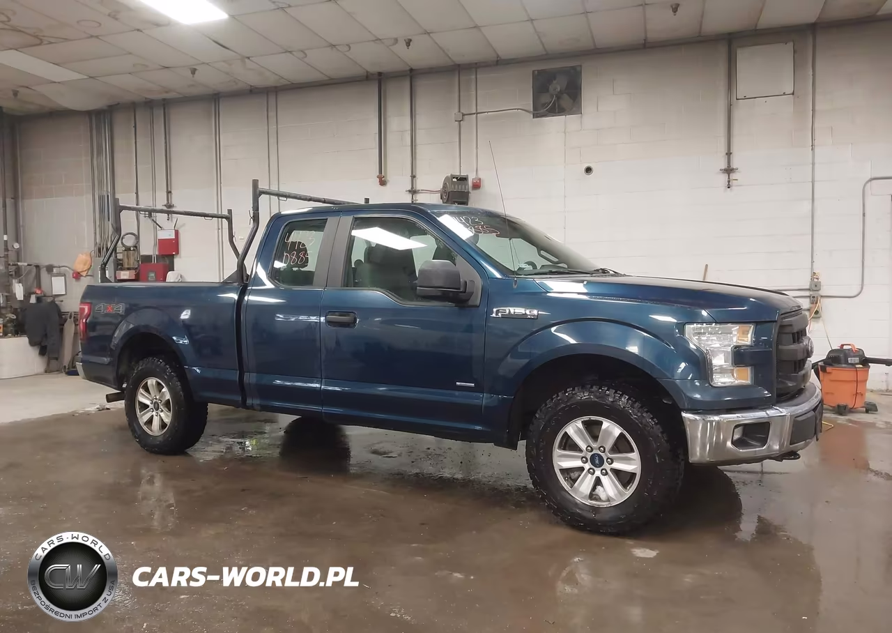 2015 Ford F-150 Xl VIN:1FTEX1EP1FKE55675 - 13