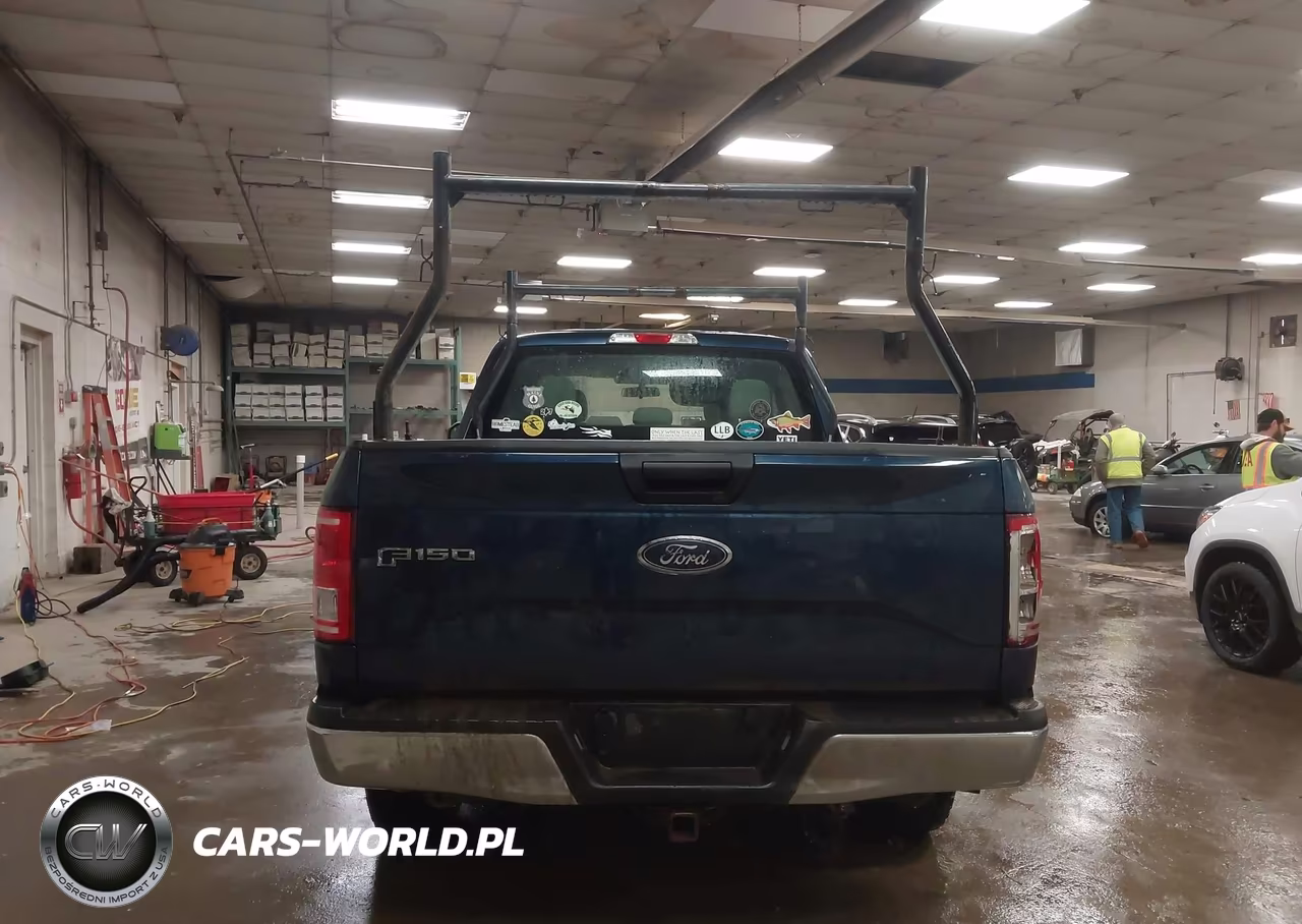 2015 Ford F-150 Xl VIN:1FTEX1EP1FKE55675 - 16