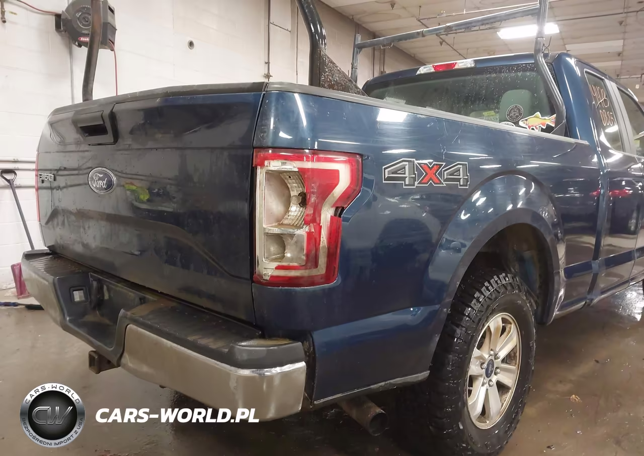 2015 Ford F-150 Xl VIN:1FTEX1EP1FKE55675 - 6