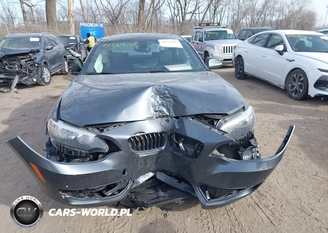 2016 BMW 228I xDrive VIN:WBA1G9C59GV599521 - 12