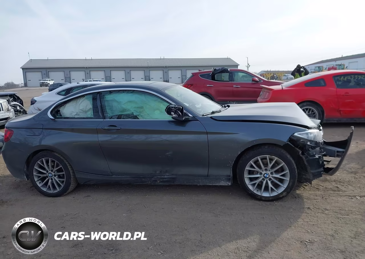 2016 BMW 228I xDrive VIN:WBA1G9C59GV599521 - 13
