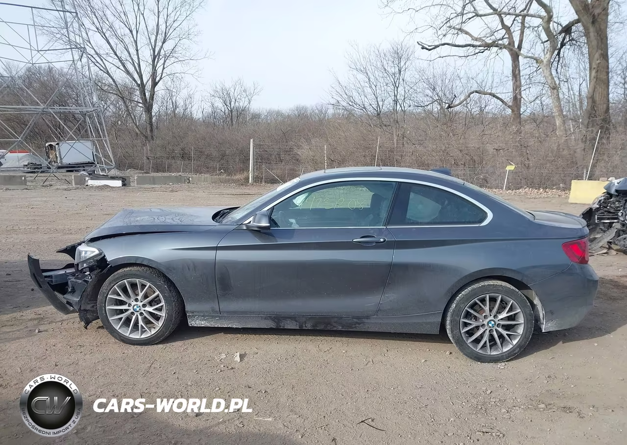 2016 BMW 228I xDrive VIN:WBA1G9C59GV599521 - 14