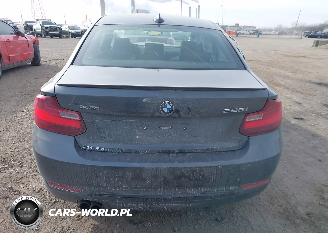2016 BMW 228I xDrive VIN:WBA1G9C59GV599521 - 16