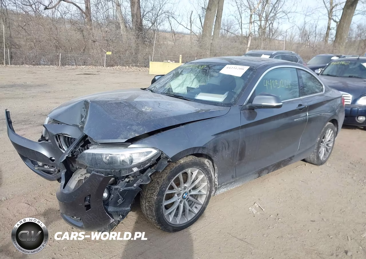 2016 BMW 228I xDrive VIN:WBA1G9C59GV599521 - 2