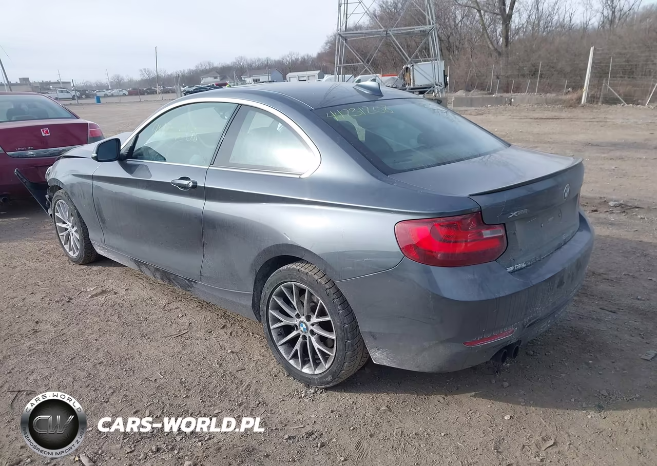 2016 BMW 228I xDrive VIN:WBA1G9C59GV599521 - 3