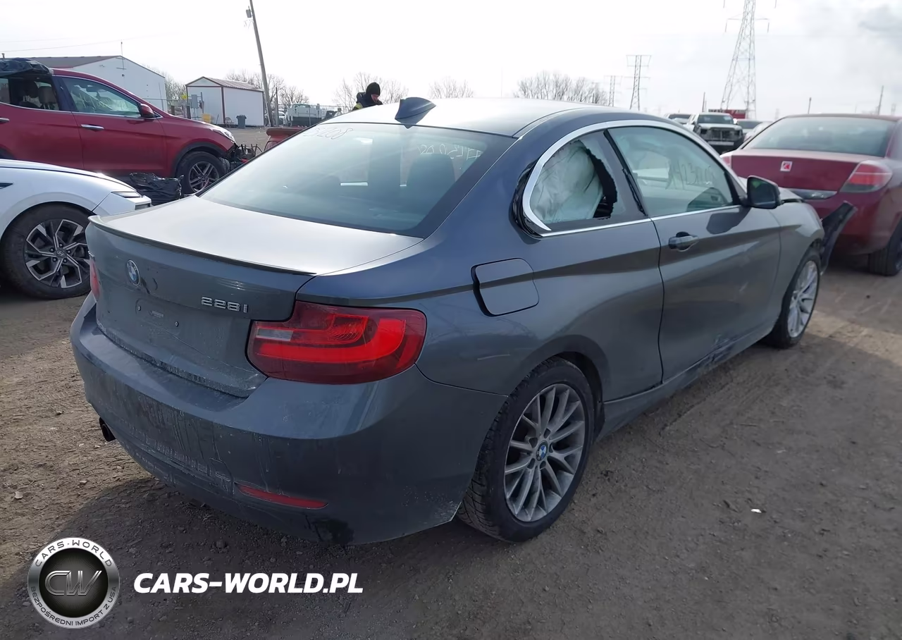 2016 BMW 228I xDrive VIN:WBA1G9C59GV599521 - 4
