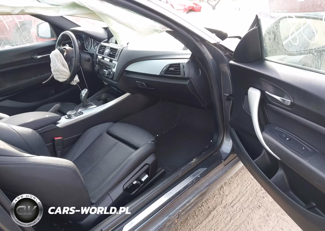 2016 BMW 228I xDrive VIN:WBA1G9C59GV599521 - 5