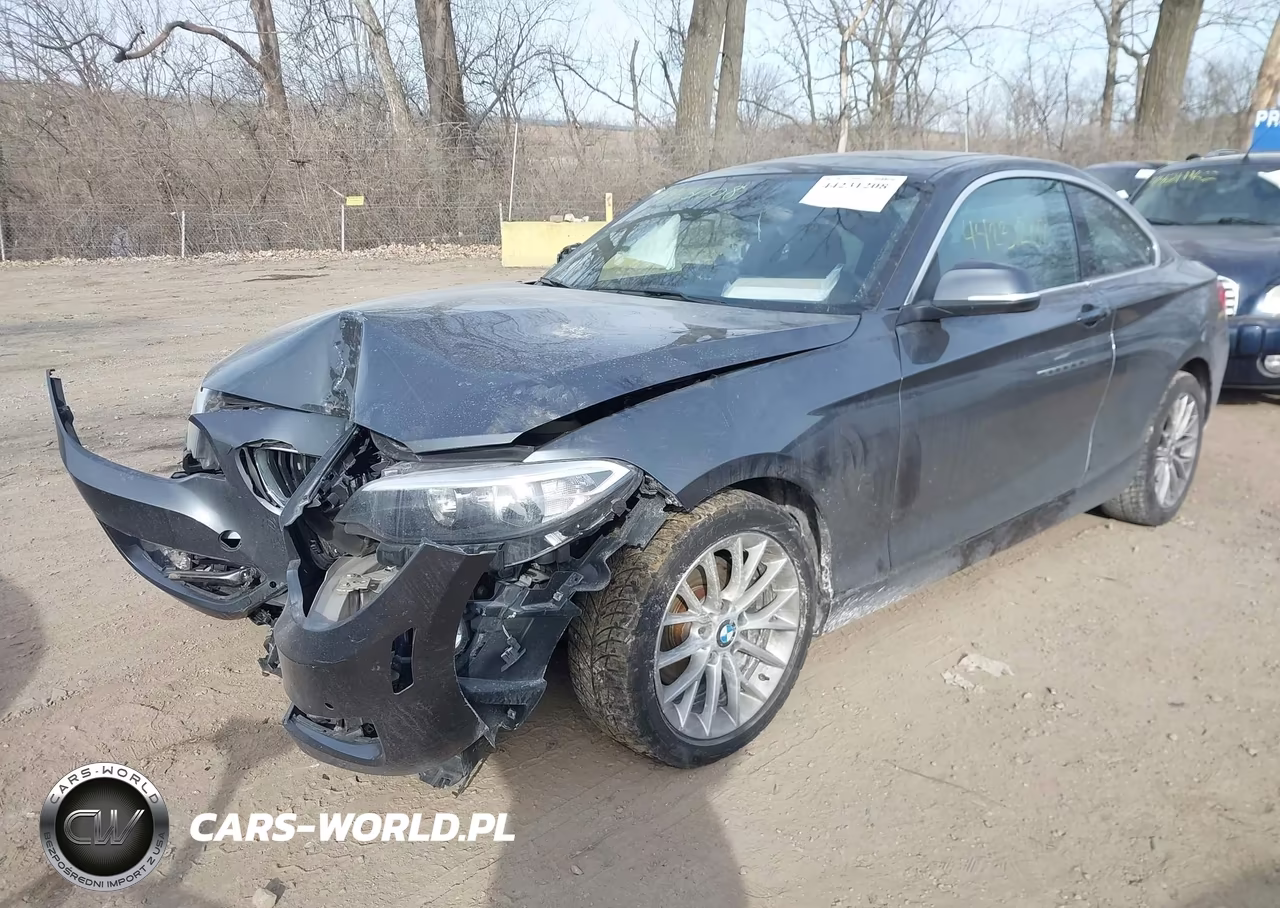 2016 BMW 228I xDrive VIN:WBA1G9C59GV599521 - 6