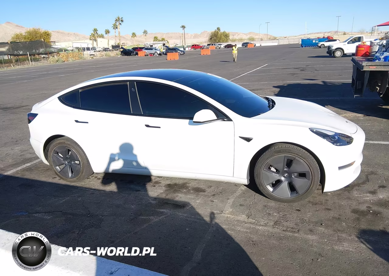 2022 Tesla Model 3 Rear-Wheel Drive VIN:5YJ3E1EA8NF244624 - 14
