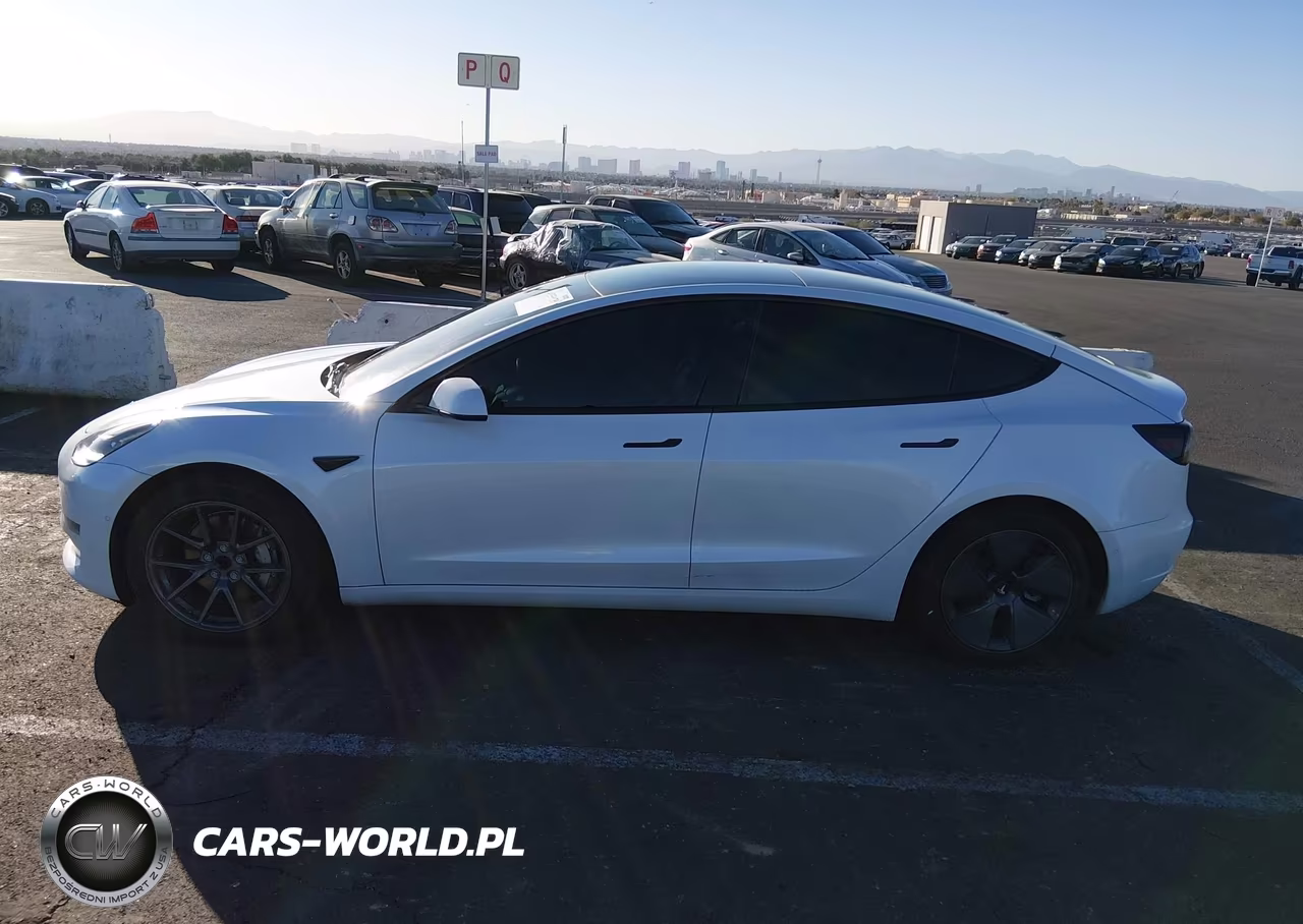 2022 Tesla Model 3 Rear-Wheel Drive VIN:5YJ3E1EA8NF244624 - 15