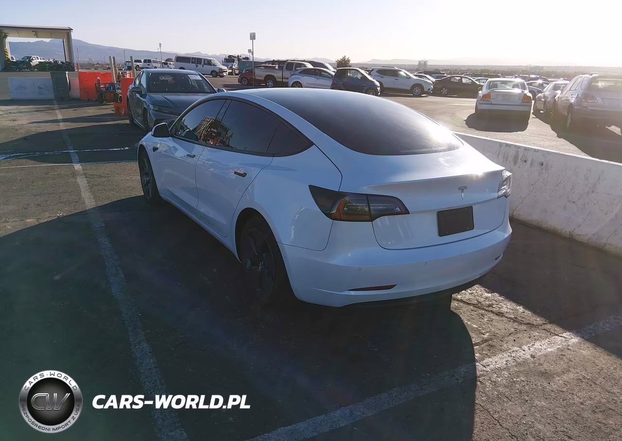 2022 Tesla Model 3 Rear-Wheel Drive VIN:5YJ3E1EA8NF244624 - 3