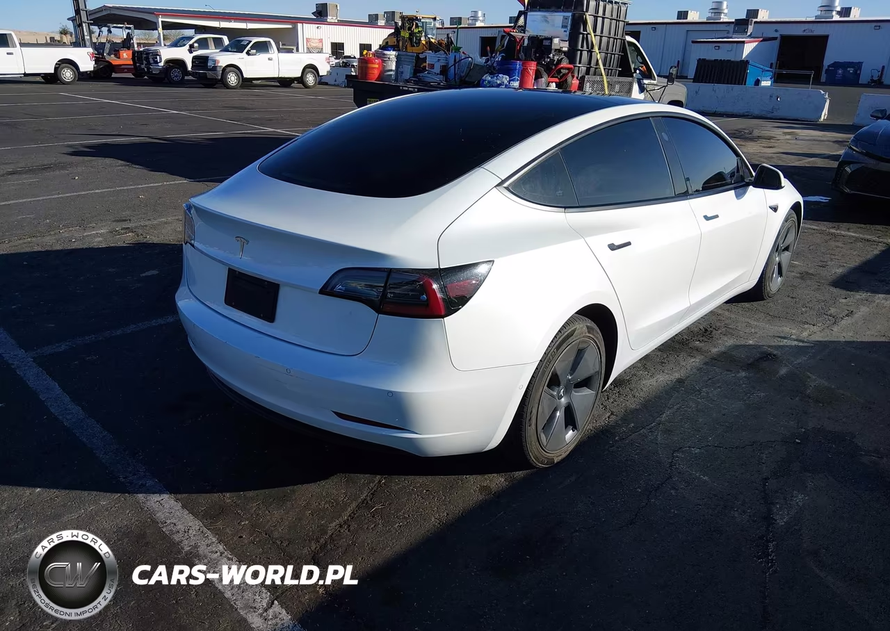 2022 Tesla Model 3 Rear-Wheel Drive VIN:5YJ3E1EA8NF244624 - 4