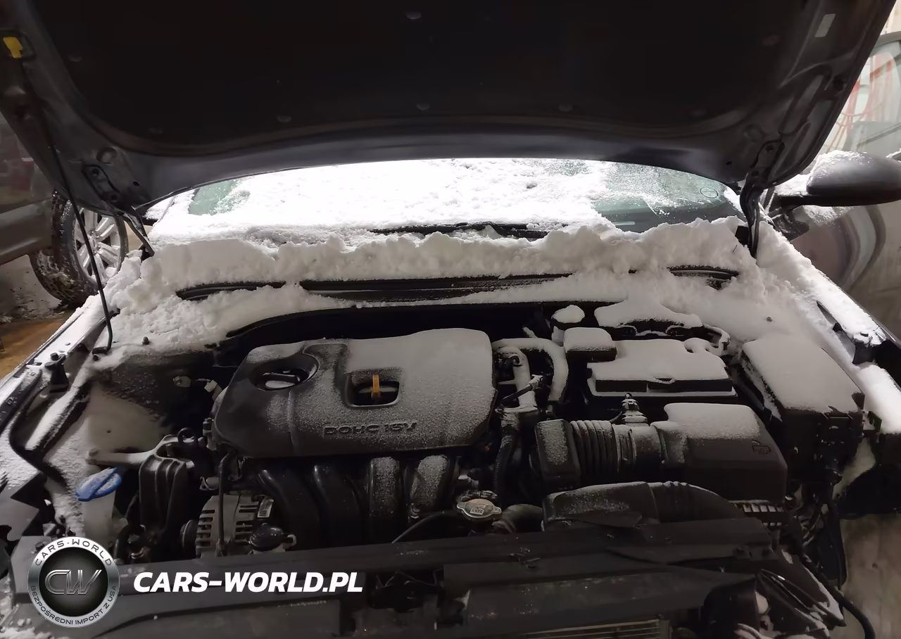 2024 Kia Forte Lxs VIN:3KPF24AD1RE829807 - 10