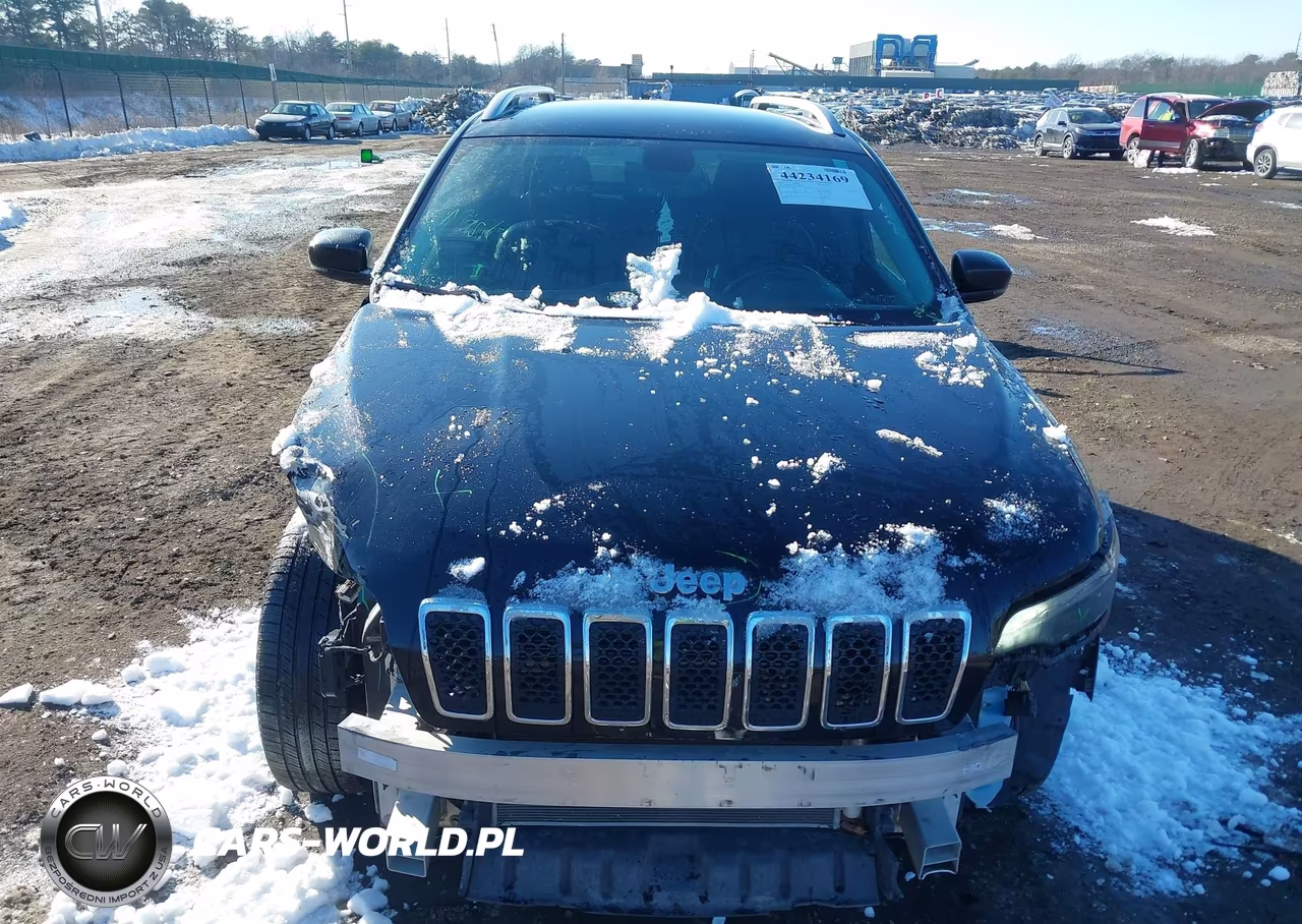 2019 Jeep Cherokee Limited 4X4 VIN:1C4PJMDX3KD380537 - 12