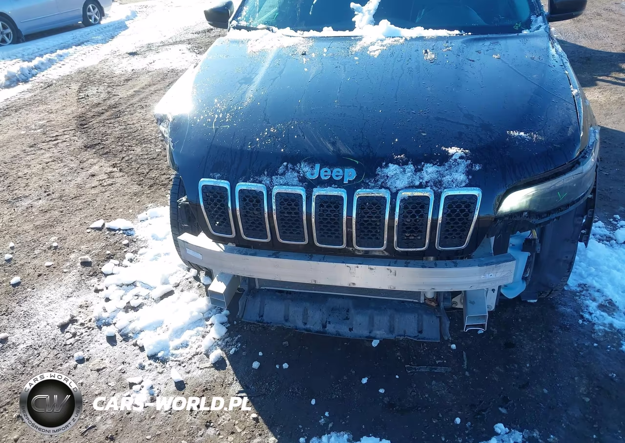 2019 Jeep Cherokee Limited 4X4 VIN:1C4PJMDX3KD380537 - 6