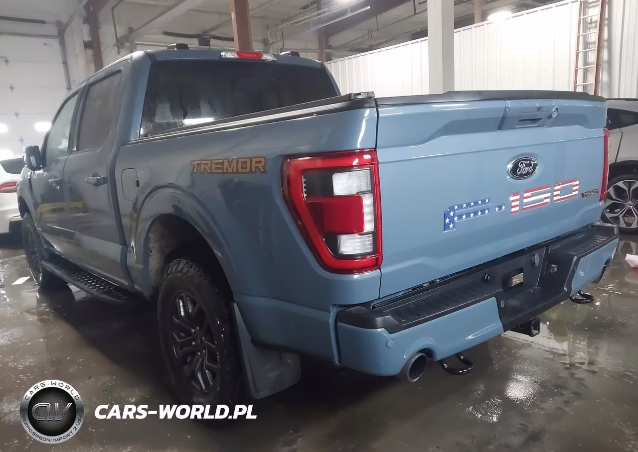 2023 Ford F150 Supercrew VIN:1FTEW1E87PFB43625 - 3
