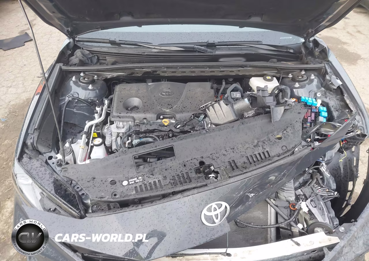 2025 Toyota Camry Se VIN:4T1DBADK3SU010980 - 10