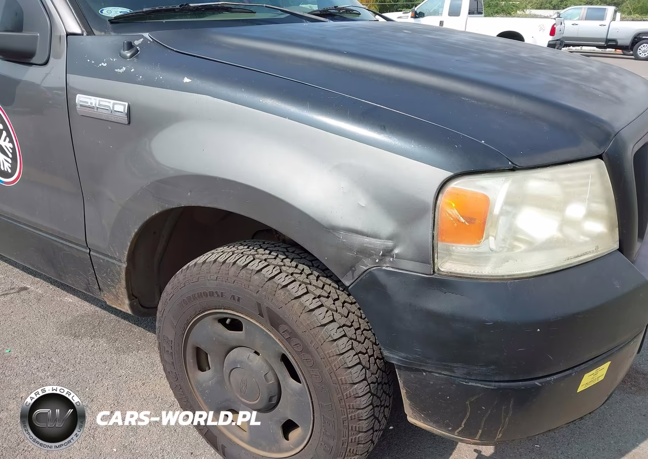 2006 Ford F-150 Stx-Xl-Xlt VIN:1FTRX12W76KD58199 - 6