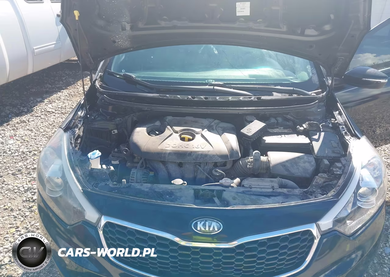 2014 Kia Forte Lx VIN:KNAFX4A64E5148160 - 10