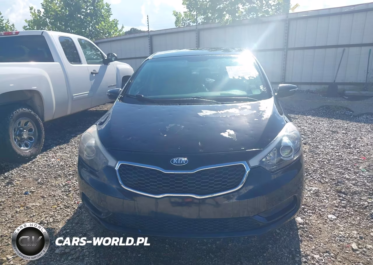 2014 Kia Forte Lx VIN:KNAFX4A64E5148160 - 12