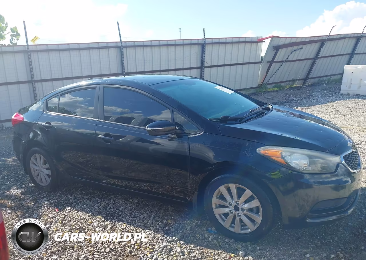 2014 Kia Forte Lx VIN:KNAFX4A64E5148160 - 13