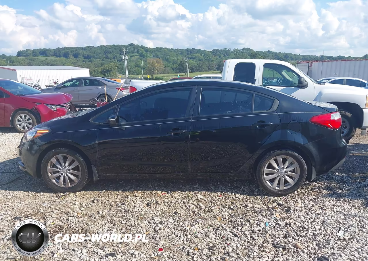 2014 Kia Forte Lx VIN:KNAFX4A64E5148160 - 14