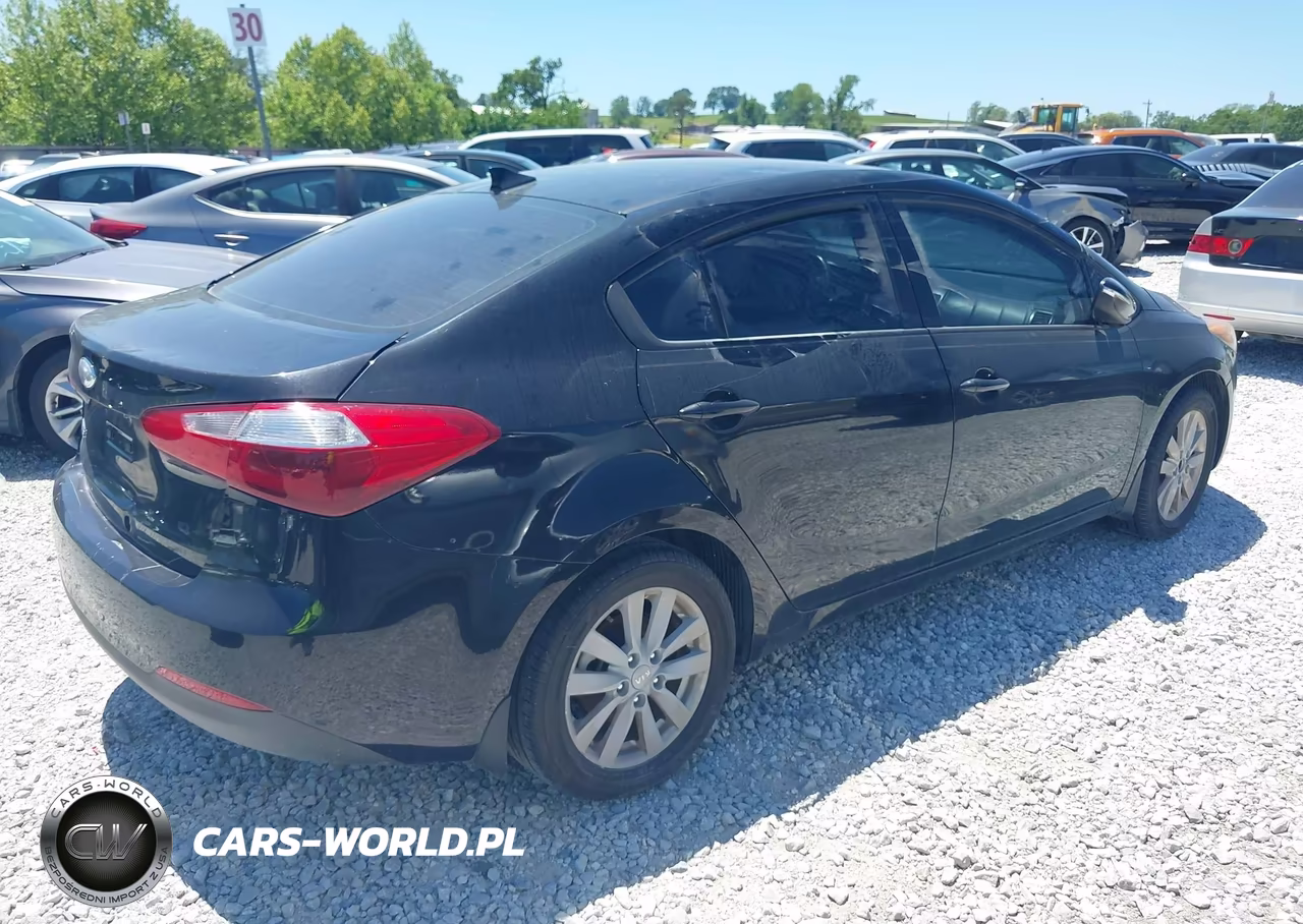 2014 Kia Forte Lx VIN:KNAFX4A64E5148160 - 4