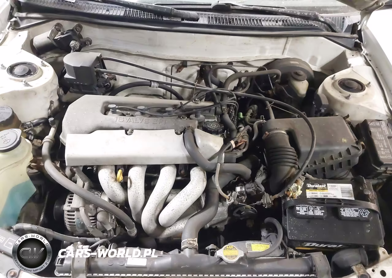 1999 Toyota Corolla Ce VIN:2T1BR12E0XC151224 - 10