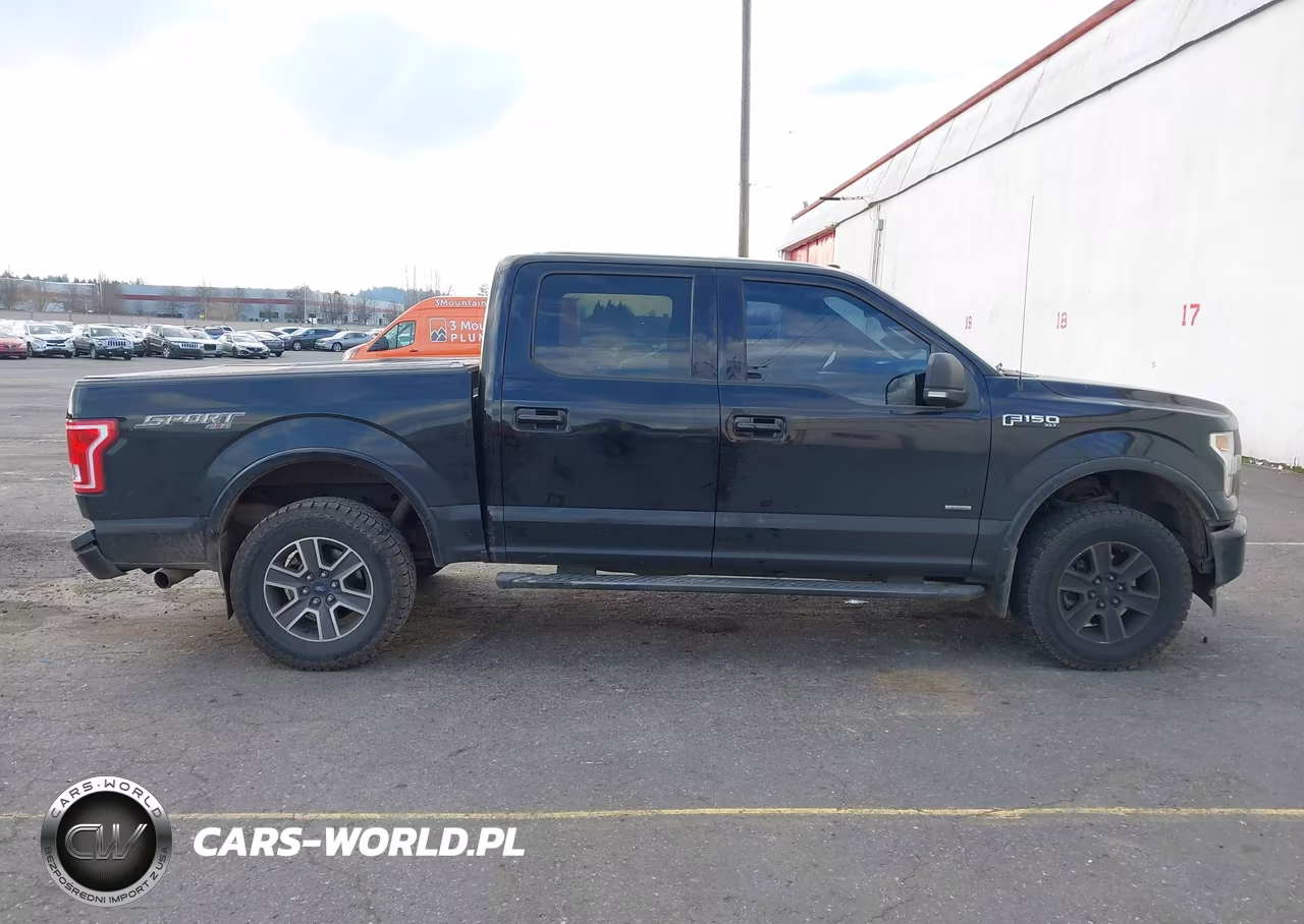 2017 Ford F-150 Xlt VIN:1FTEW1EG0HFB89886 - 13