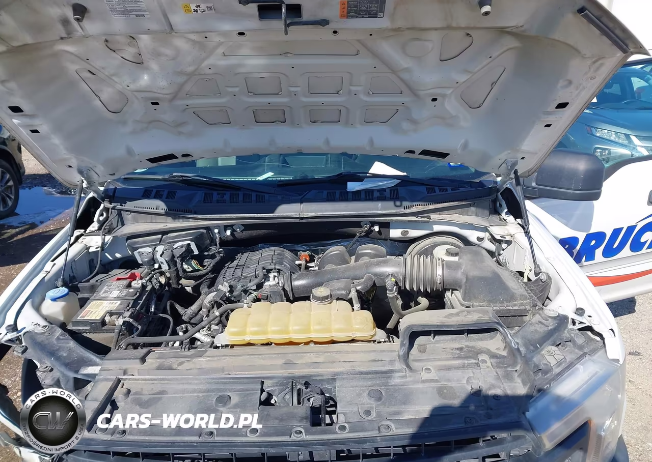 2019 Ford F-150 Xl VIN:1FTEW1CB2KKE16310 - 10