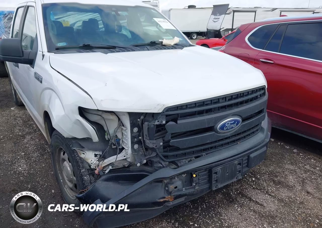 2019 Ford F-150 Xl VIN:1FTEW1CB2KKE16310 - 12