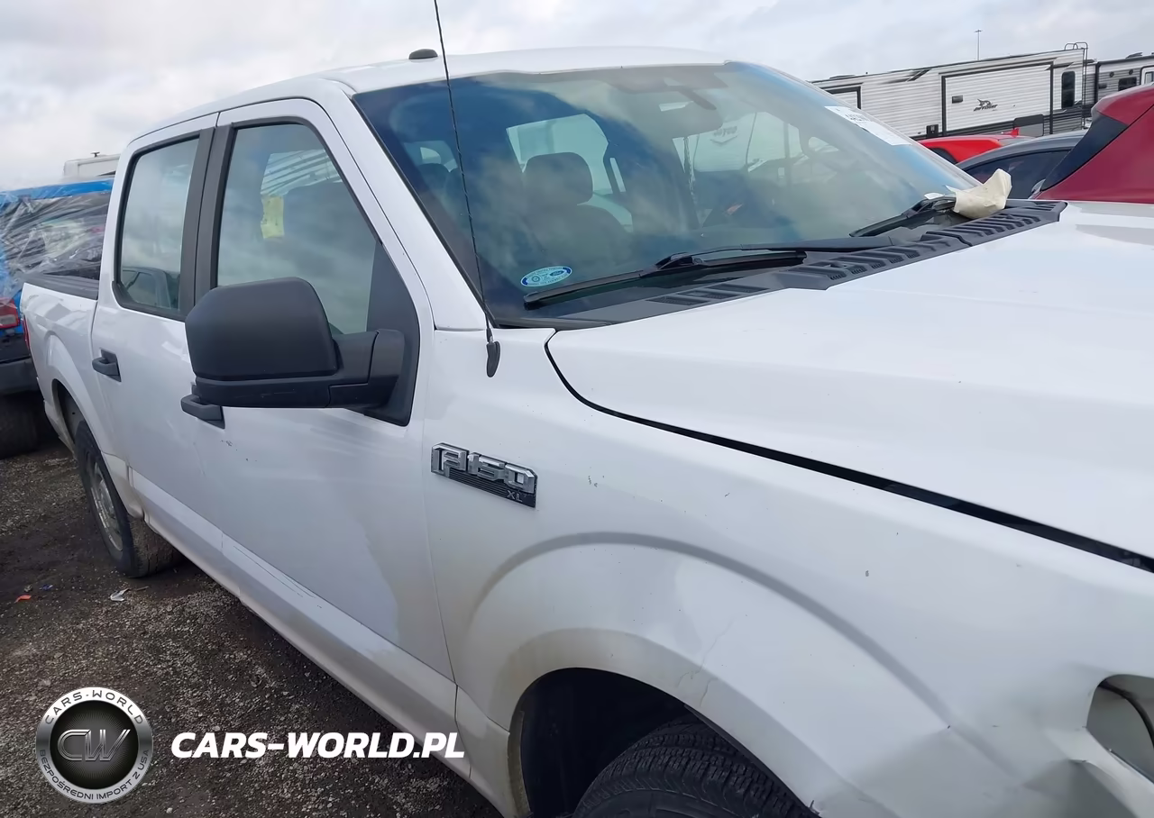 2019 Ford F-150 Xl VIN:1FTEW1CB2KKE16310 - 13