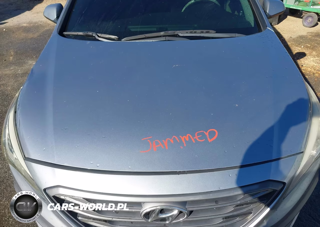 2016 Hyundai Sonata Se VIN:5NPE24AF4GH370844 - 10