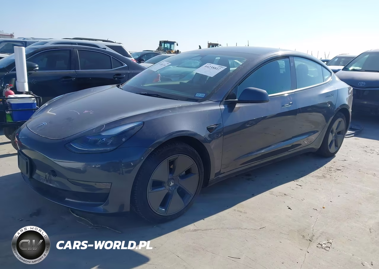 2023 Tesla Model 3 Rear-Wheel Drive VIN:5YJ3E1EAXPF664386 - 2