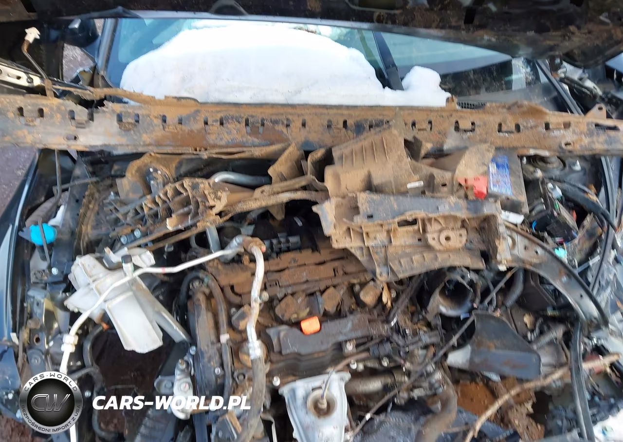 2024 Honda Civic Sport VIN:2HGFE2F54RH514129 - 10