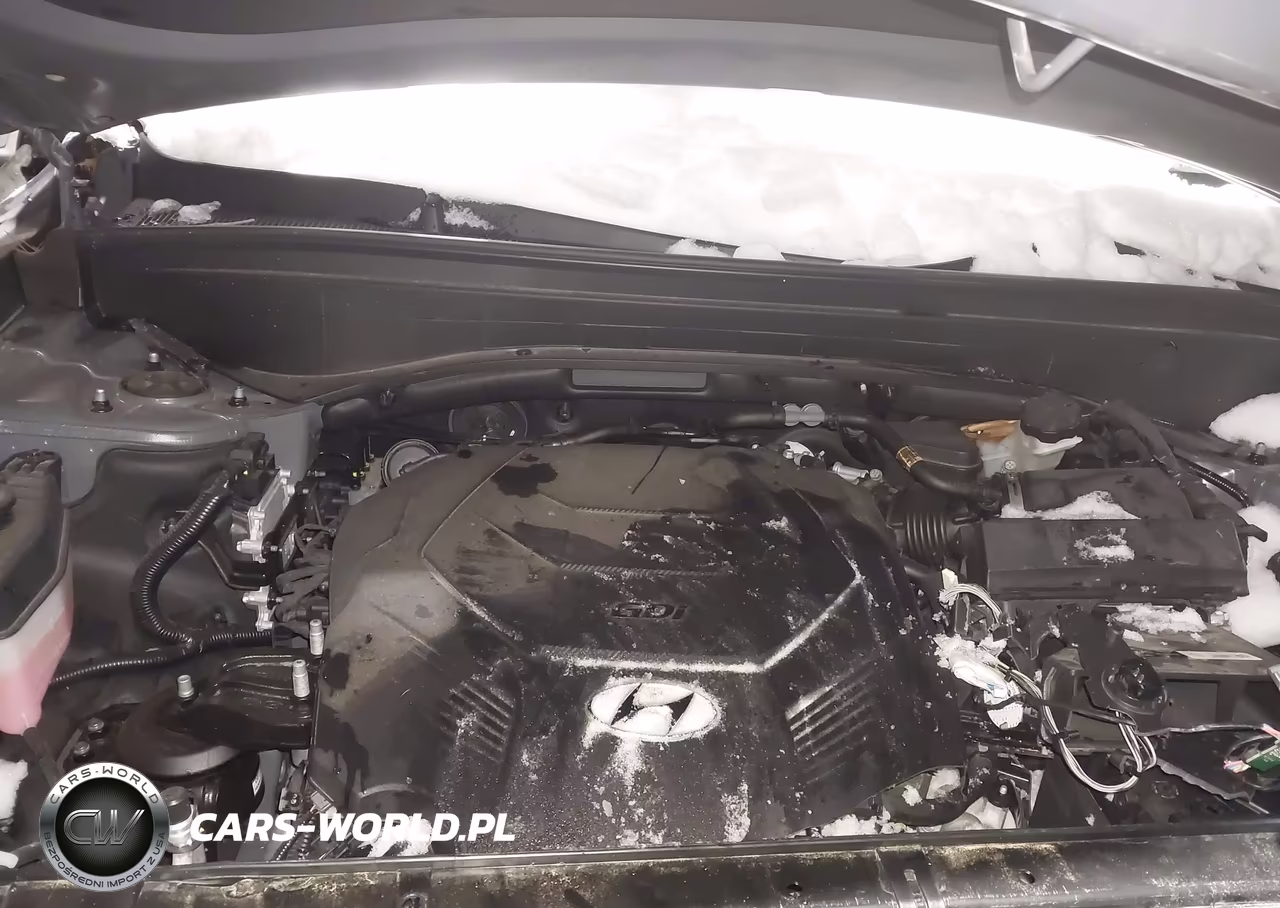 2025 Hyundai Palisade Sel Premium VIN:KM8R4DGE6SU879452 - 10