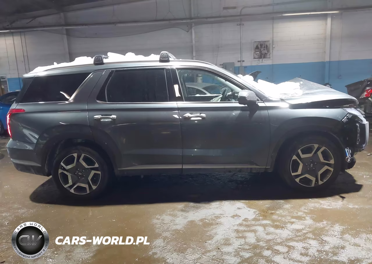 2025 Hyundai Palisade Sel Premium VIN:KM8R4DGE6SU879452 - 13