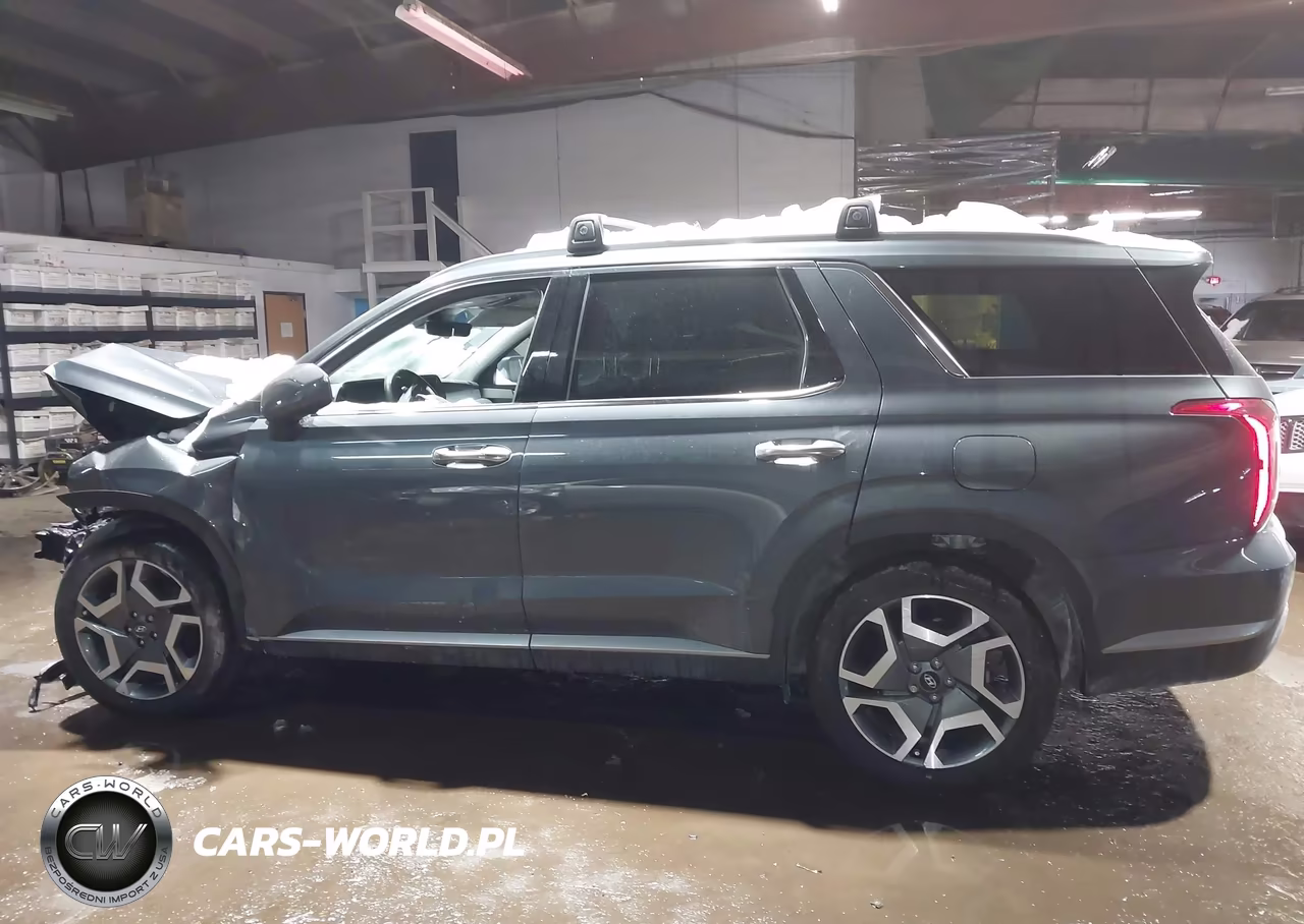 2025 Hyundai Palisade Sel Premium VIN:KM8R4DGE6SU879452 - 14
